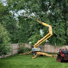 Best Firewood Processing and Delivery  in Fort Calhoun, NE